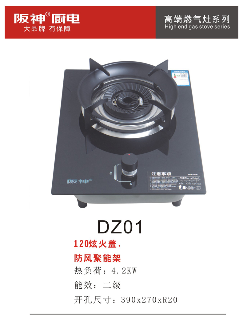 DZ01.jpg